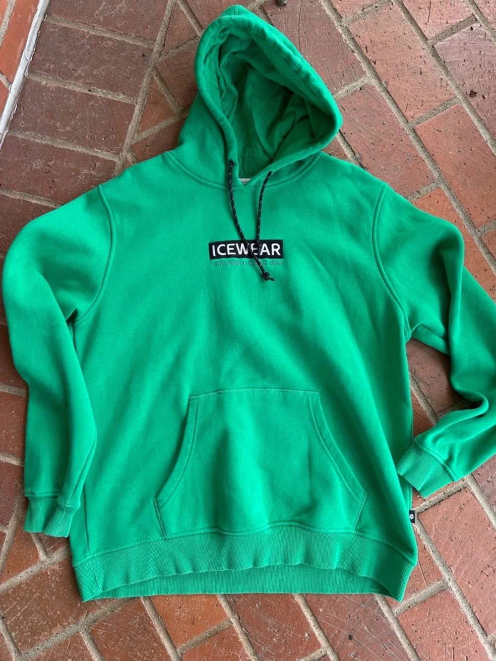 ICEWEAR sweatshirt/hoodie. Purchased in the country of Iceland - Picture 1 of 7